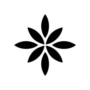 Logo Albufera