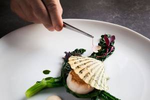 Verso Ristorante, Capitaneo